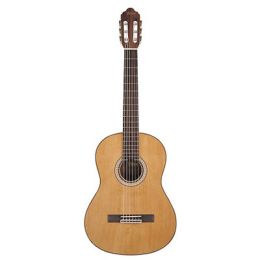 Klasiskās ģitāras (neilona stīgu) Attēls