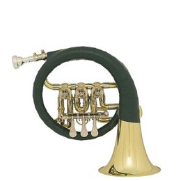 Medību ragi Attēls