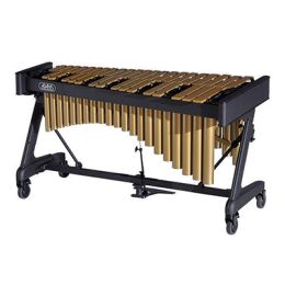 Orķestra un gājiena sitaminstrumenti Attēls