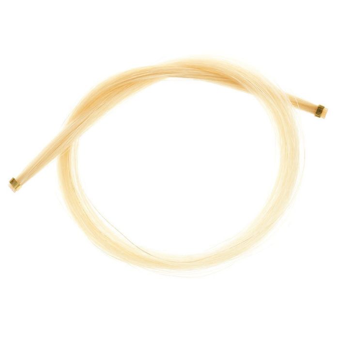 Vijoles lociņa astri